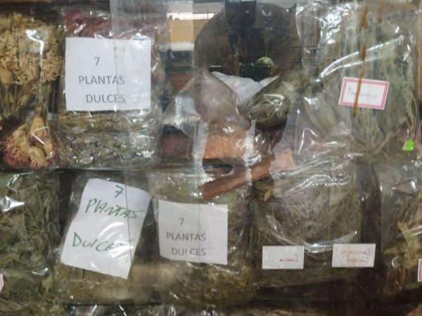 El Emperador de las Plantas - Imagen 2