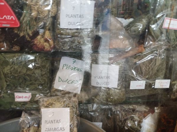El Emperador de las Plantas - Imagen 3