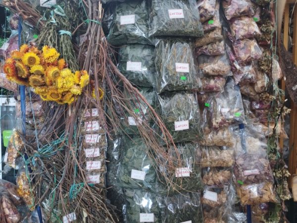 El Emperador de las Plantas - Imagen 6