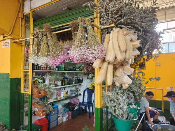 Florecita Tienda Botánica - Imagen 2