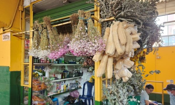 Florecita Tienda Botánica