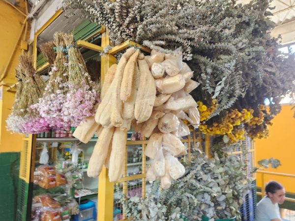 Florecita Tienda Botánica - Imagen 3