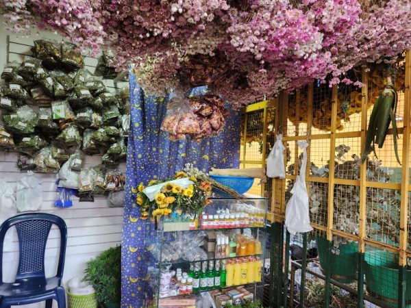 Florecita Tienda Botánica - Imagen 4