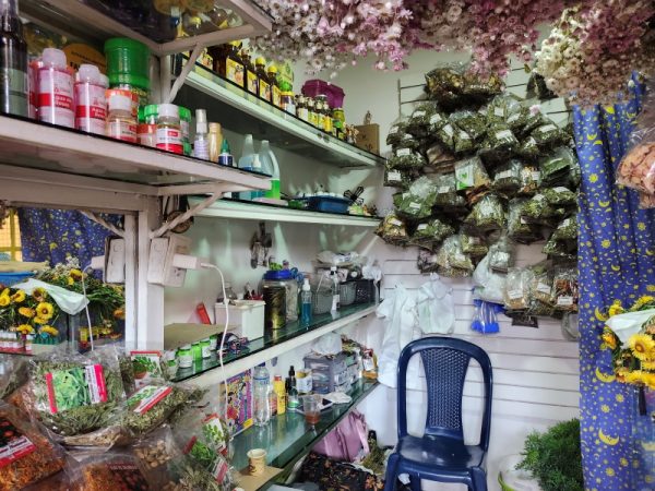 Florecita Tienda Botánica - Imagen 5