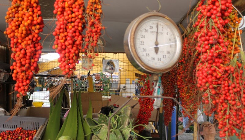 Frutas y Verduras Dora Mora