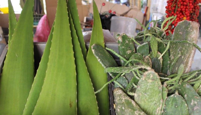 Frutas y Verduras Dora Mora