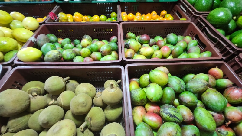 Legumbrería y Frutería los Socios