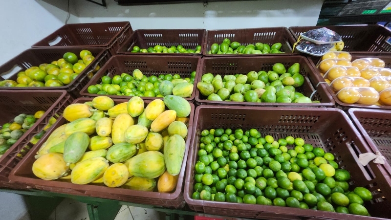 Legumbrería y Frutería los Socios