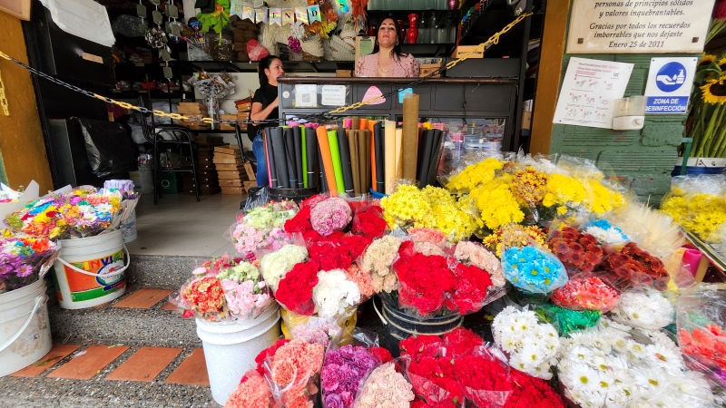 Distribuidora de Flores Indiana Flowers
