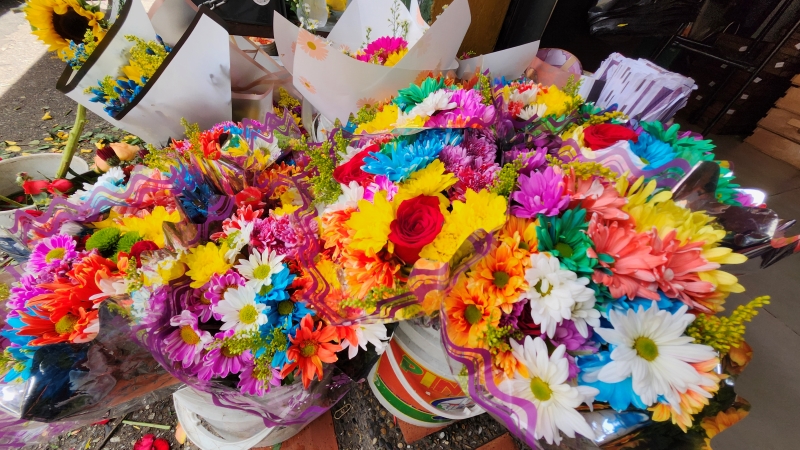Distribuidora de Flores Indiana Flowers