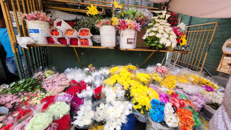 Distribuidora de Flores Indiana Flowers