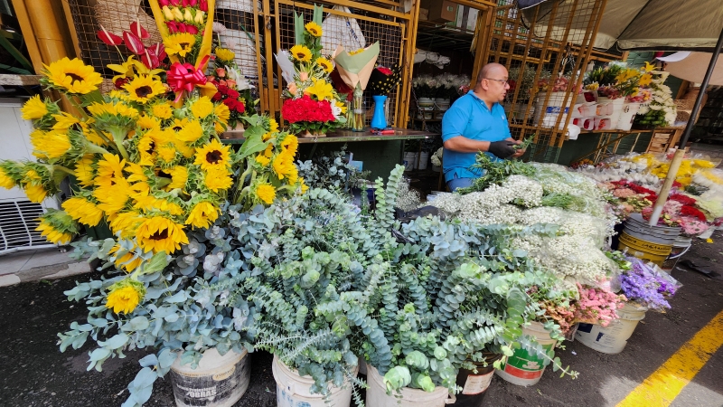 Distribuidora de Flores Indiana Flowers