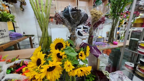 Floristería Flores de Colores - Imagen 5