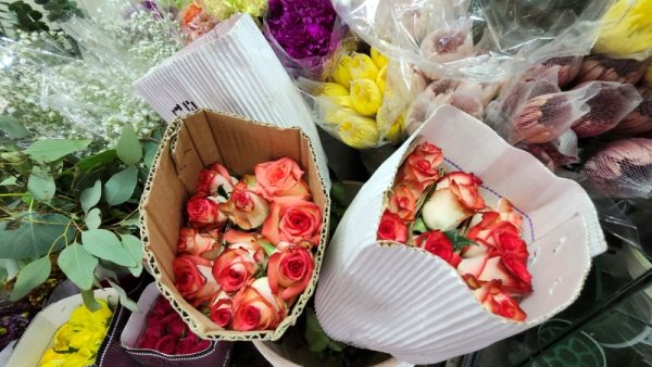 Flores Veracruz - Imagen 4