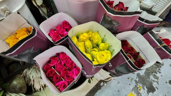 Flores Veracruz - Imagen 5
