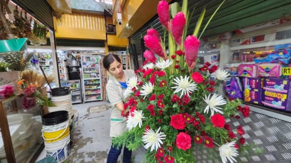 Flores Veracruz - Imagen 7