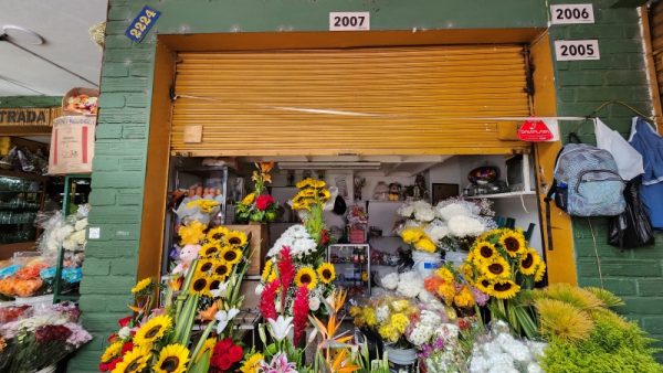 Floristería y Flores Las Margaritas
