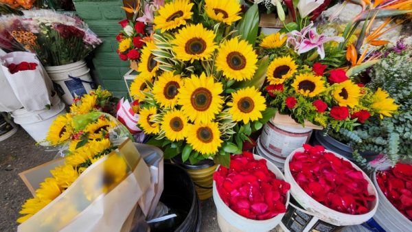 Floristería y Flores Las Margaritas - Imagen 2
