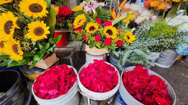 Floristería y Flores Las Margaritas