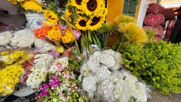 Floristería y Flores Las Margaritas - Imagen 4