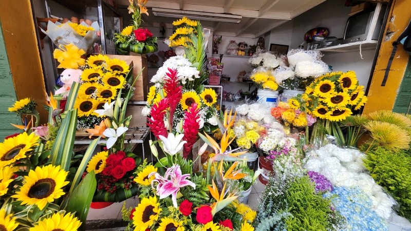 Floristería y Flores Las Margaritas