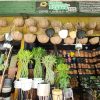 Plantas y Artesanías Boyacá