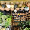Plantas y Artesanías Boyacá - Imagen 2