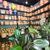 Plantas y Artesanías Boyacá - Imagen 3