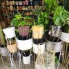 Plantas y Artesanías Boyacá - Imagen 5