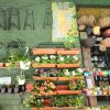 Plantas y Artesanías Boyacá - Imagen 7