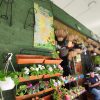 Plantas y Artesanías Boyacá - Imagen 9