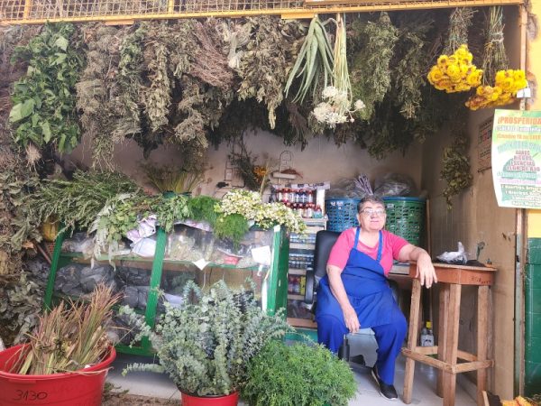 Jardín de la Salud Plantas Medicinales - Imagen 2