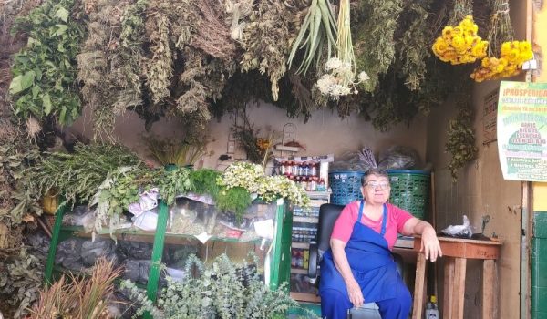 Jardín de la Salud Plantas Medicinales