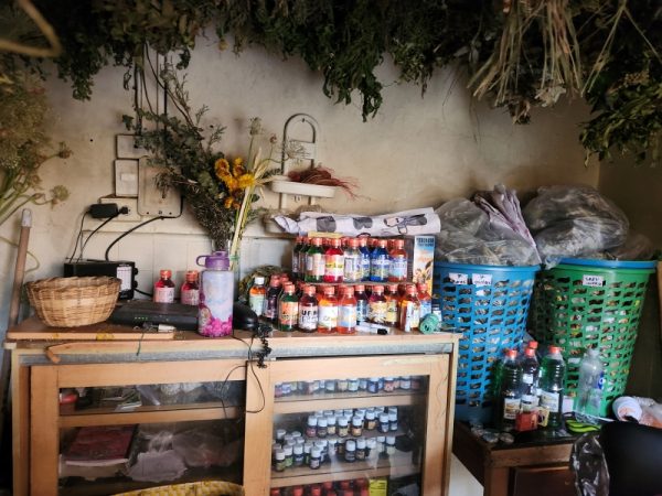 Jardín de la Salud Plantas Medicinales - Imagen 3