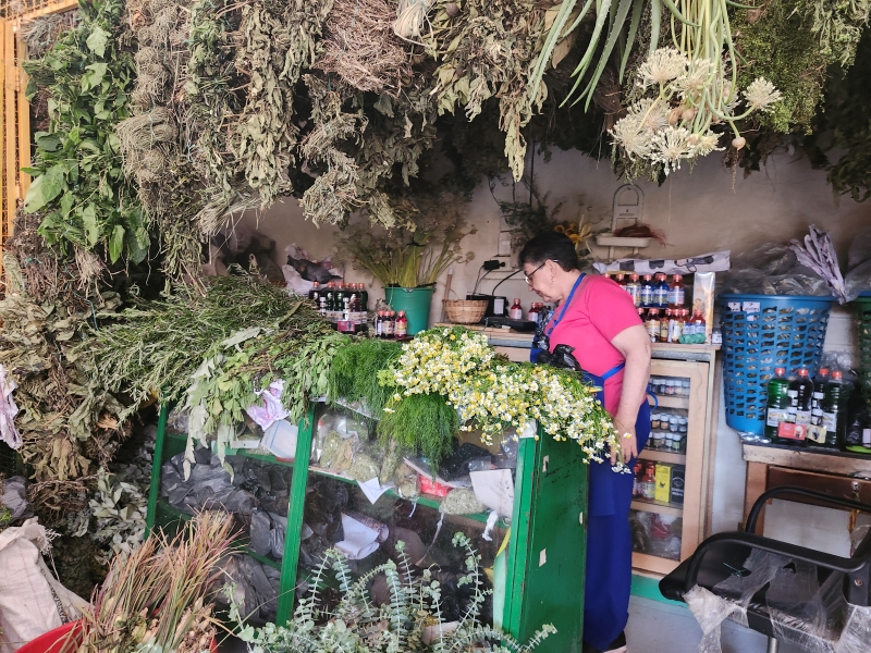 Jardín de la Salud Plantas Medicinales