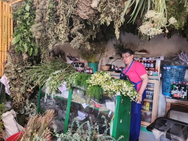 Jardín de la Salud Plantas Medicinales - Imagen 5