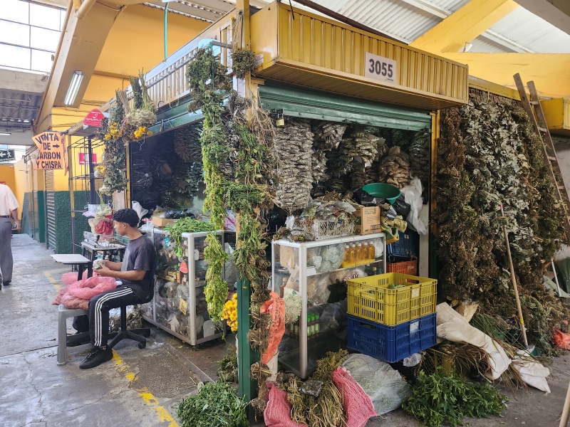 Plantas Medicinales Jorge Ordoñez