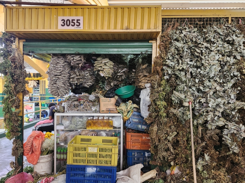Plantas Medicinales Jorge Ordoñez