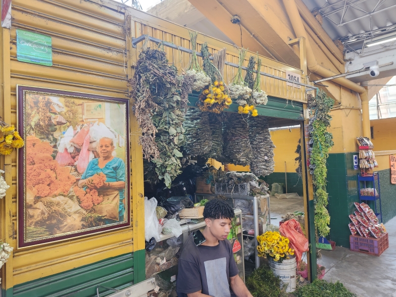 Plantas Medicinales Jorge Ordoñez