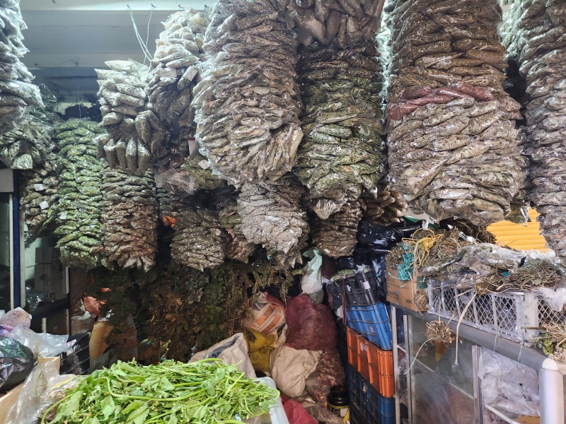 Plantas Medicinales Jorge Ordoñez