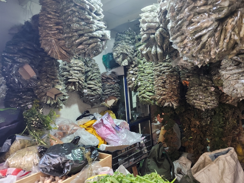 Plantas Medicinales Jorge Ordoñez