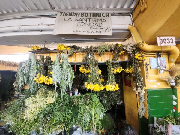 Tienda Botánica La Santísima Trinidad - Imagen 2