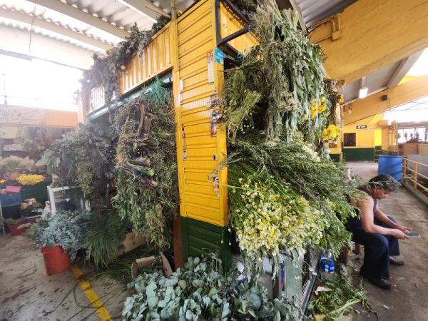 Tienda Botánica La Santísima Trinidad - Imagen 4