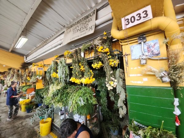 Tienda Botánica La Santísima Trinidad - Imagen 6