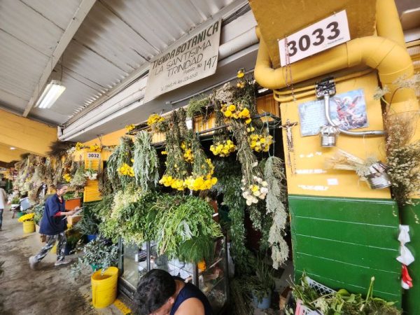Tienda Botánica La Santísima Trinidad - Imagen 7