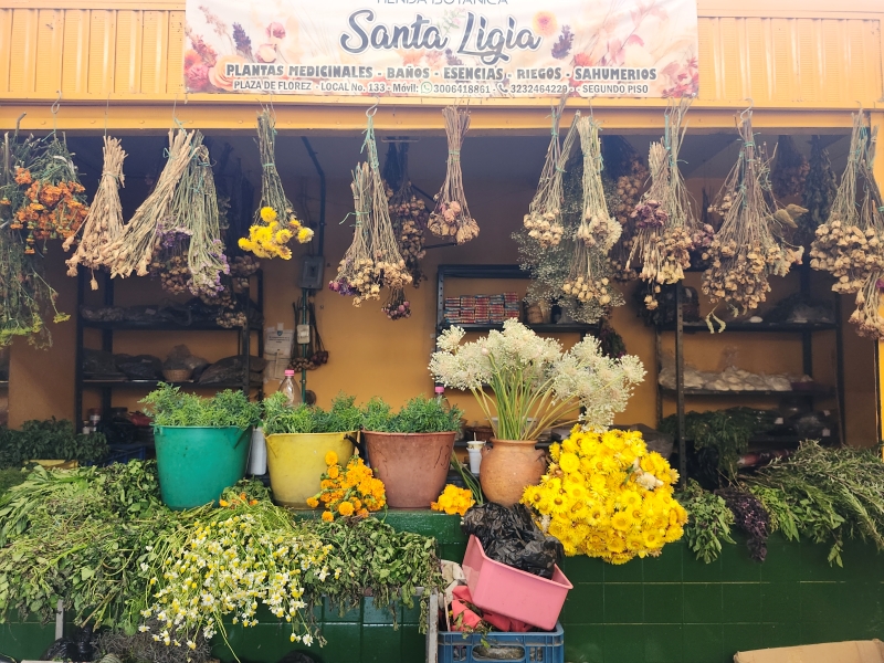 Tienda Botánica Santa Ligia