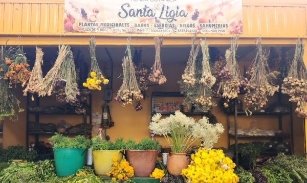 Tienda Botánica Santa Ligia