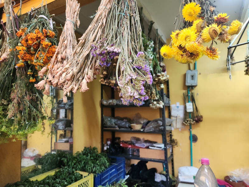 Tienda Botánica Santa Ligia