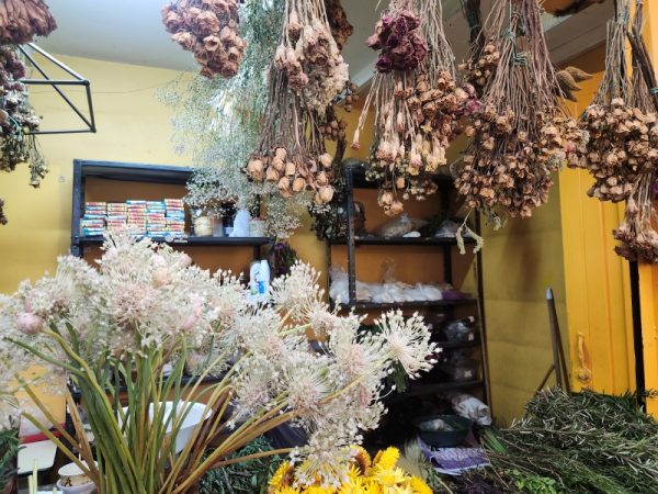 Tienda Botánica Santa Ligia - Imagen 4