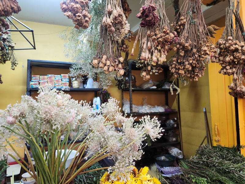 Tienda Botánica Santa Ligia